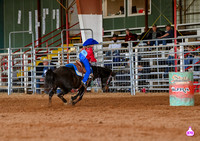 6U BARRELS